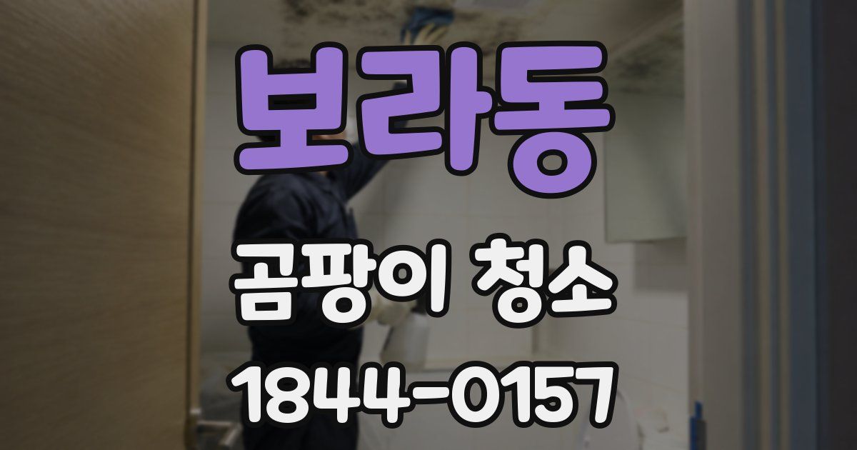 보라동 곰팡이 청소