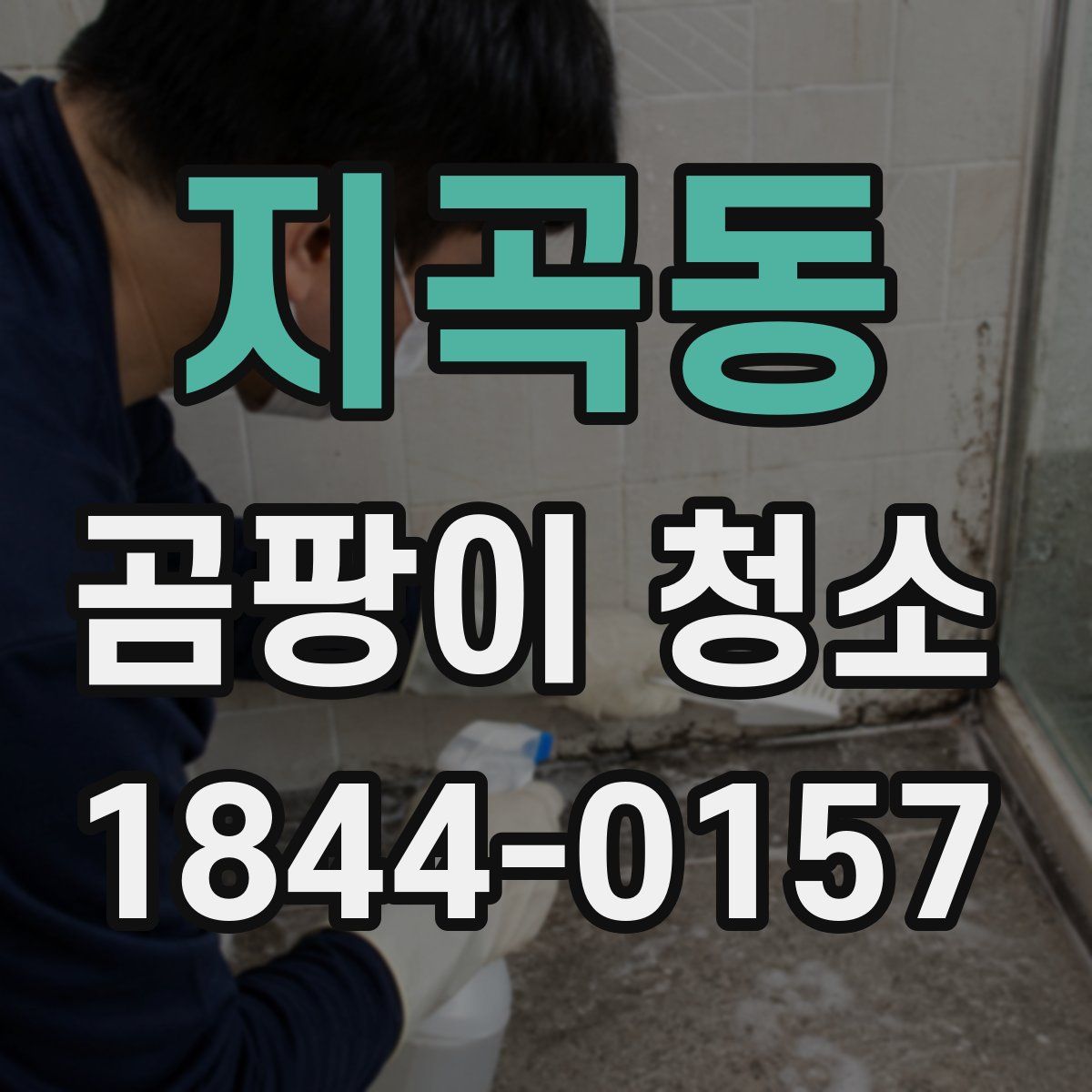 지곡동 곰팡이 청소