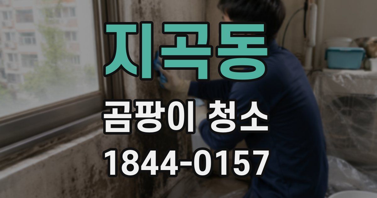 지곡동 곰팡이 청소