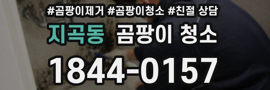 지곡동 곰팡이 청소