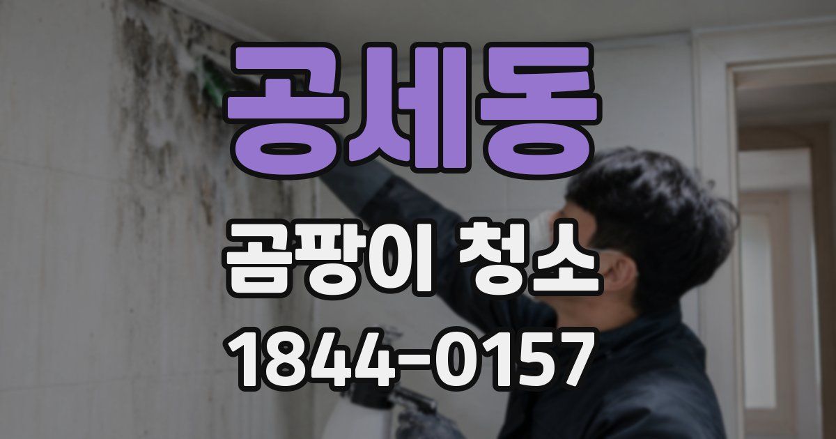 공세동 곰팡이 청소