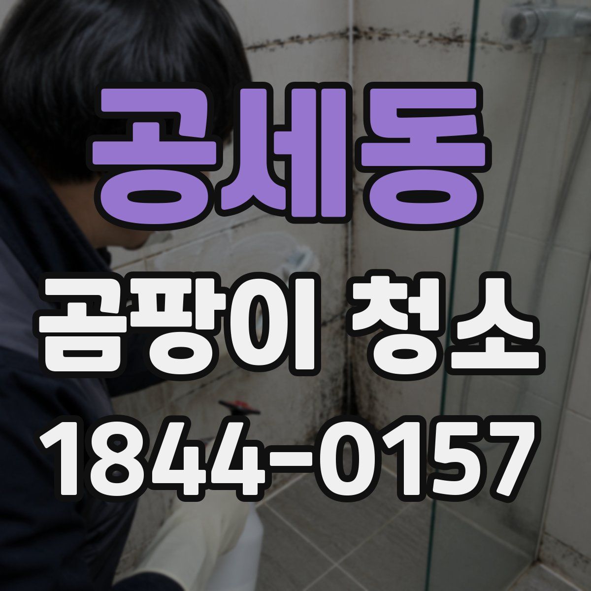 공세동 곰팡이 청소