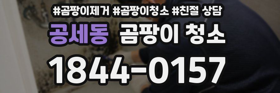 공세동 곰팡이 청소