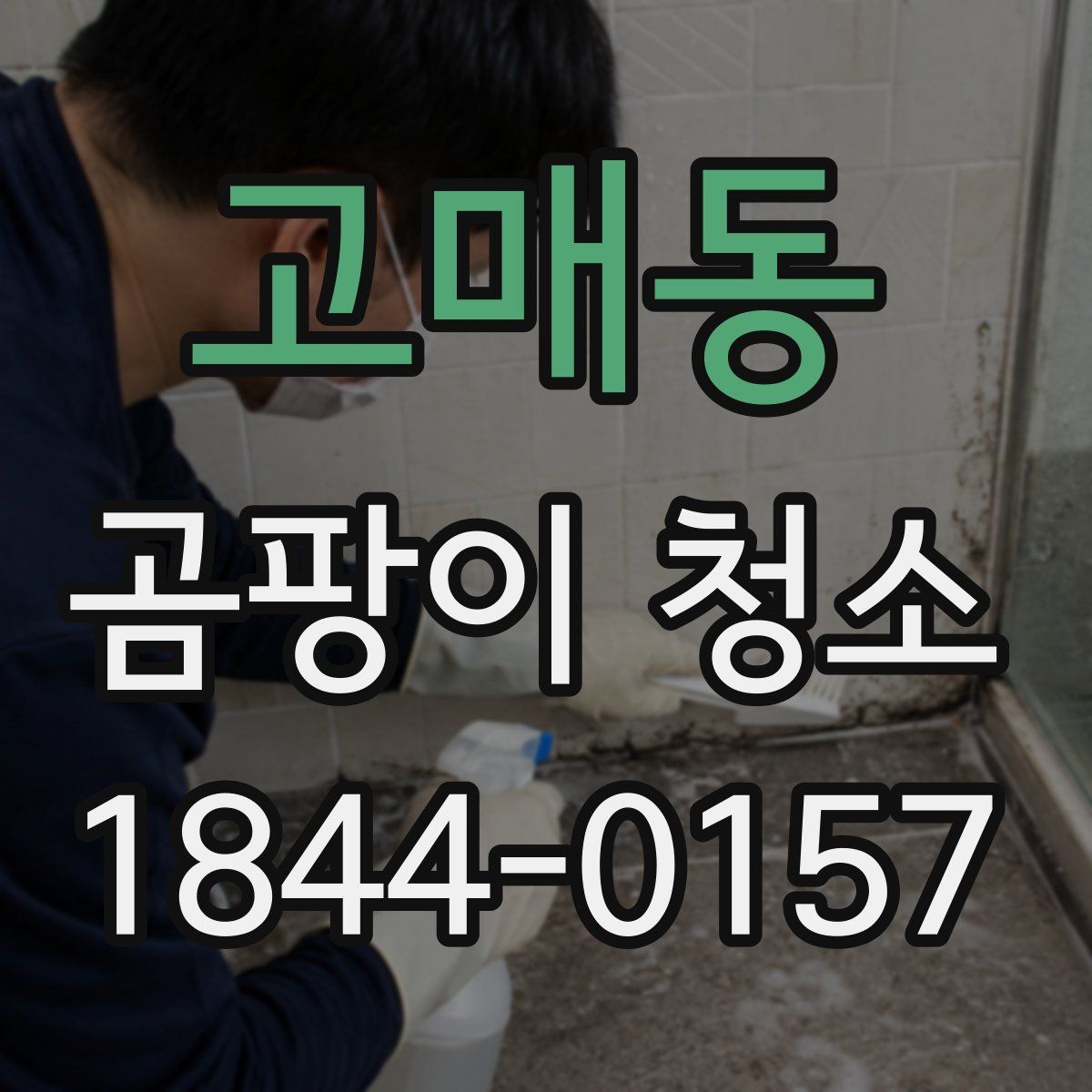 고매동 곰팡이 청소