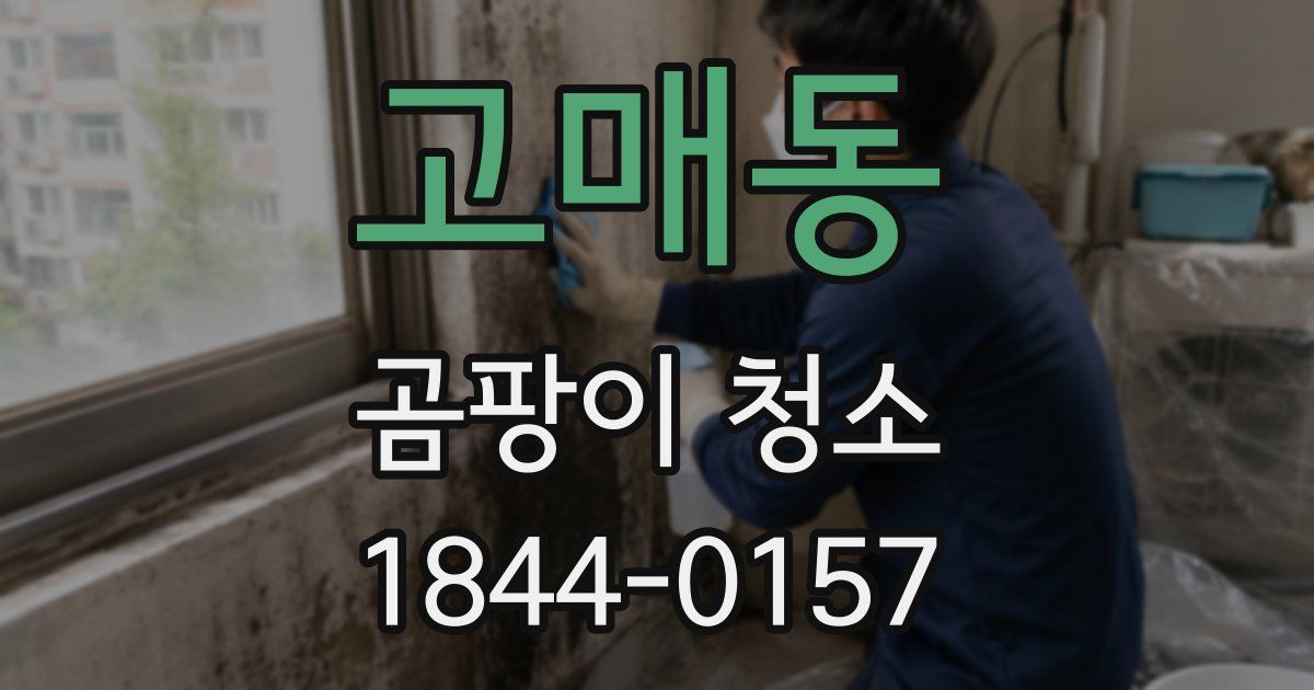 고매동 곰팡이 청소
