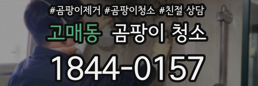 고매동 곰팡이 청소