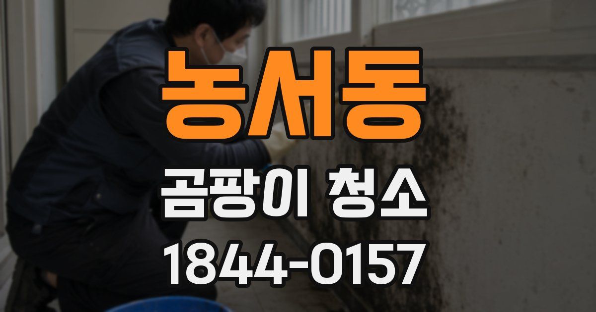 농서동 곰팡이 청소