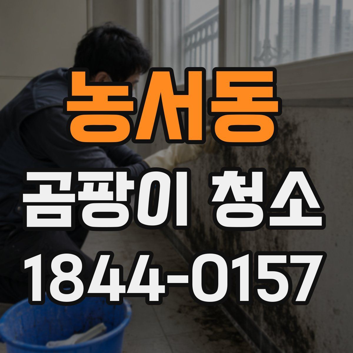 농서동 곰팡이 청소