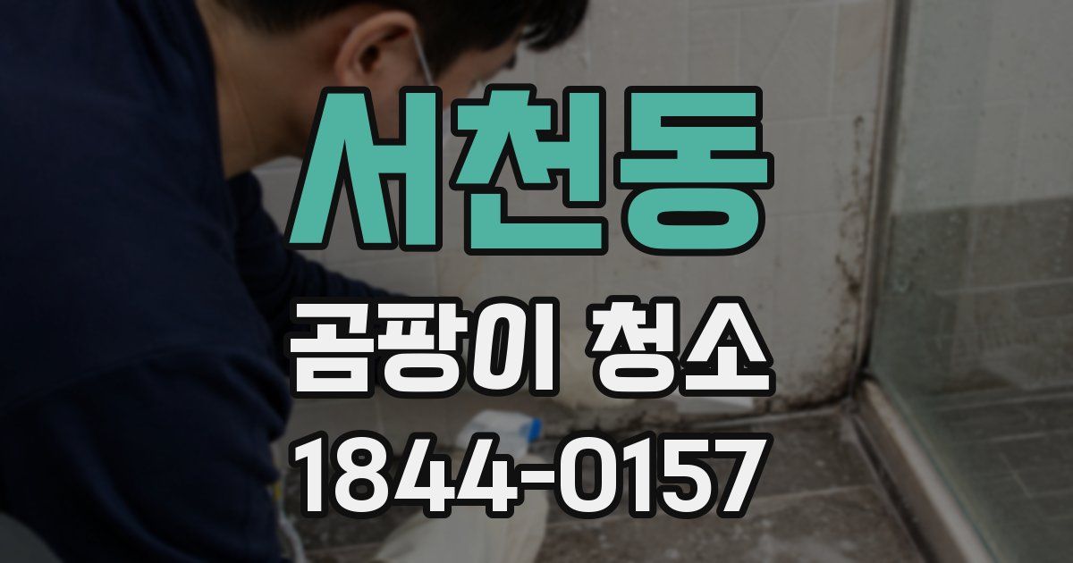 서천동 곰팡이 청소