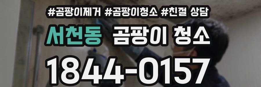 서천동 곰팡이 청소