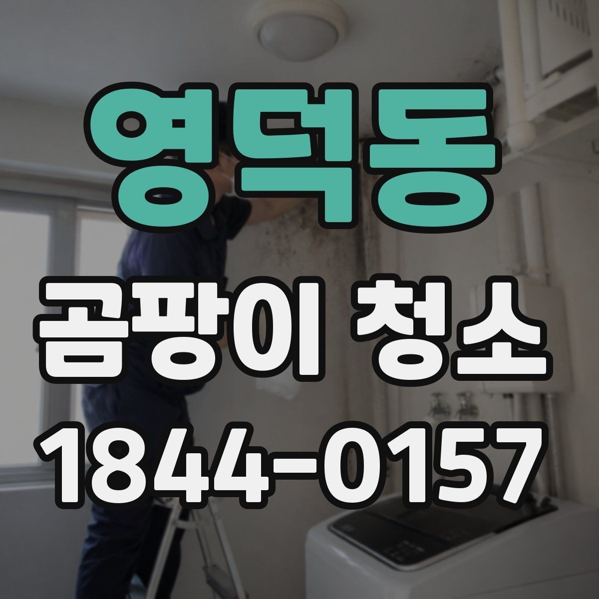 영덕동 곰팡이 청소 전에 원인을 진단해야 하는 이유