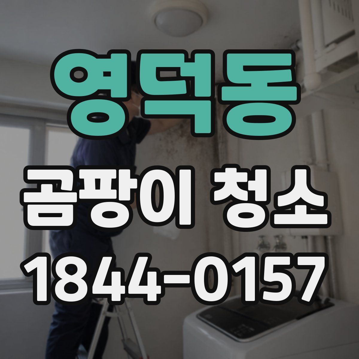 영덕동 곰팡이 청소