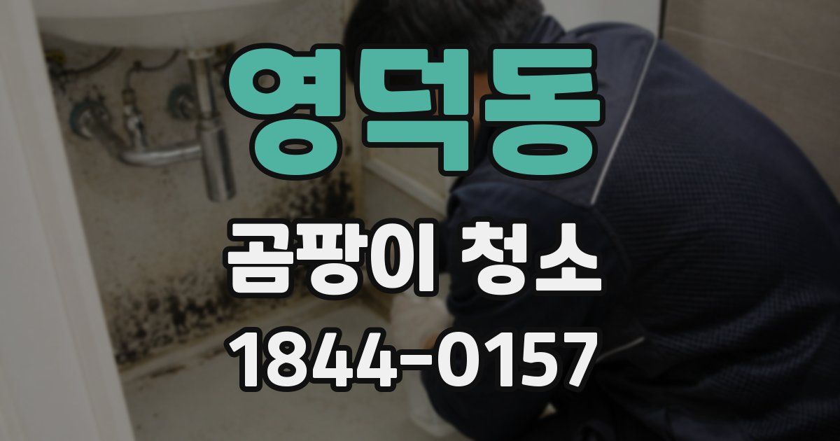 영덕동 곰팡이 청소