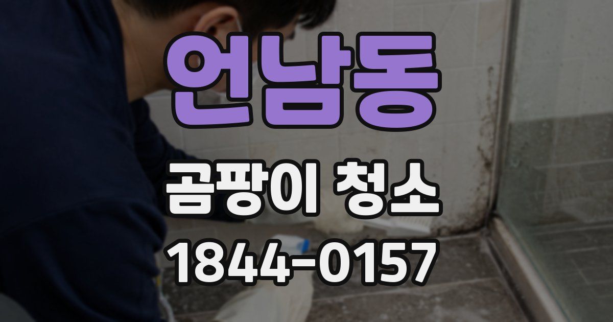 언남동 곰팡이 청소