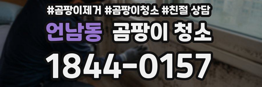 언남동 곰팡이 청소