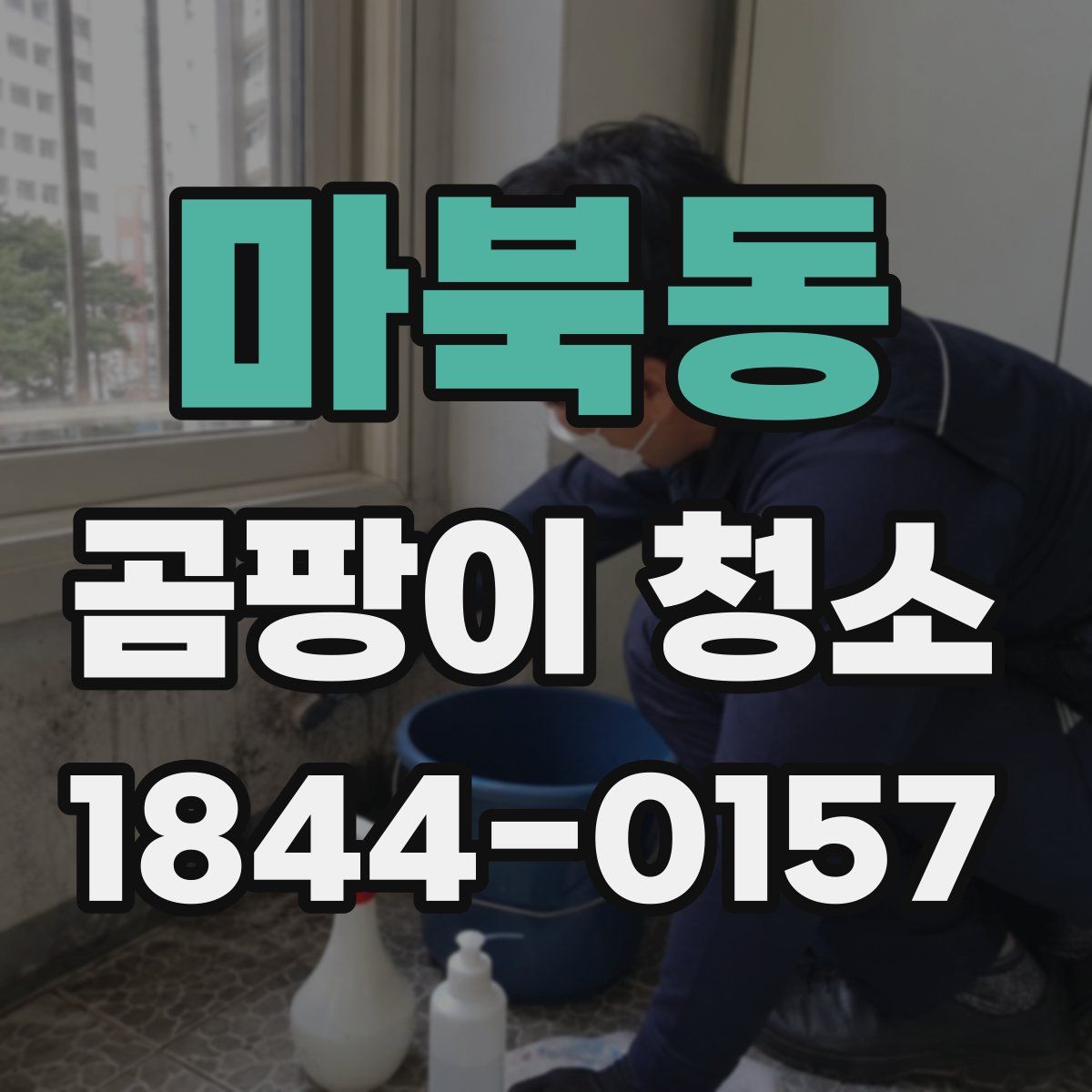 마북동 곰팡이 청소