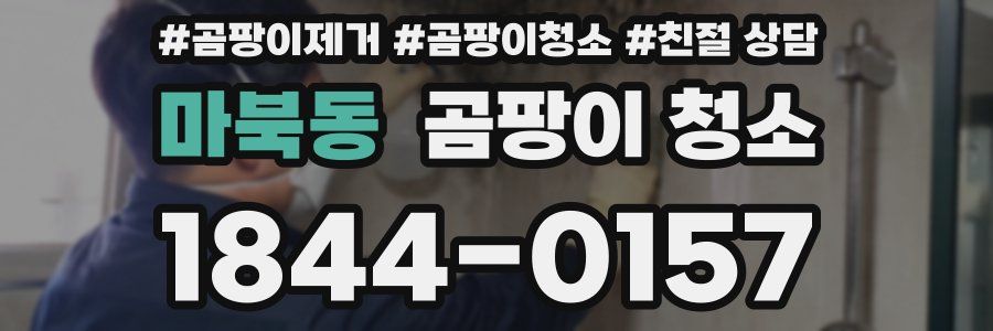 마북동 곰팡이 청소