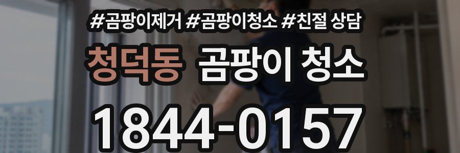 청덕동 곰팡이 청소