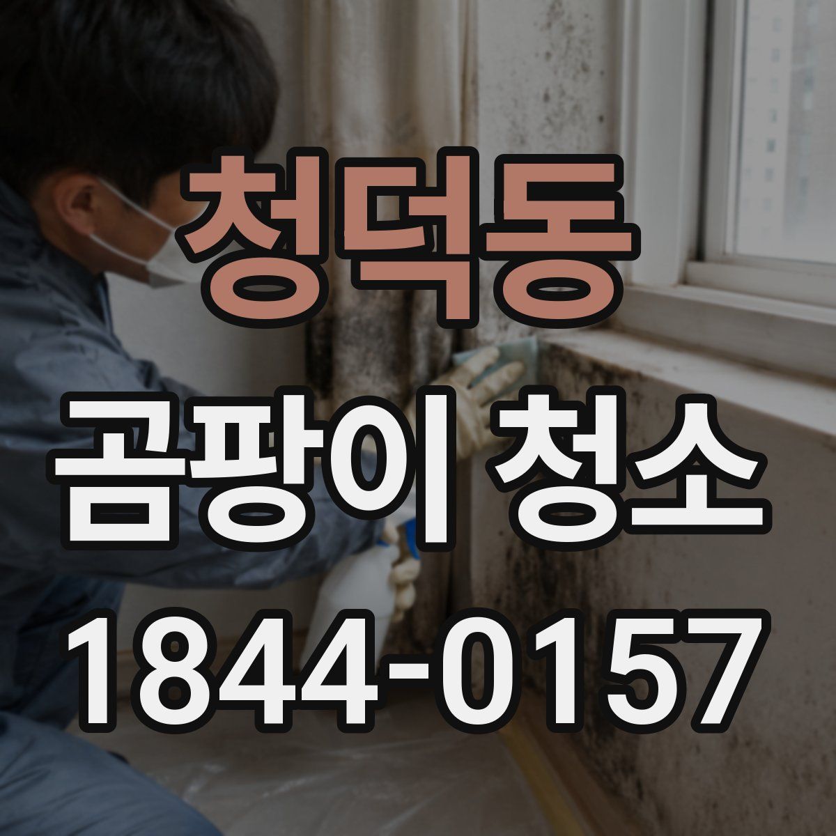 청덕동 곰팡이 청소