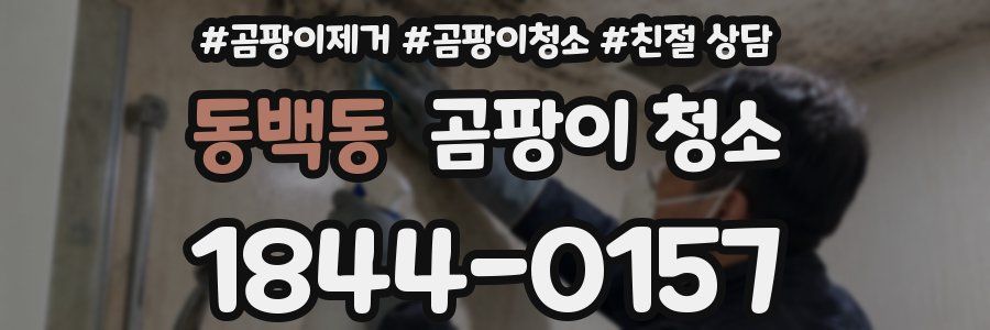 동백동 곰팡이 청소