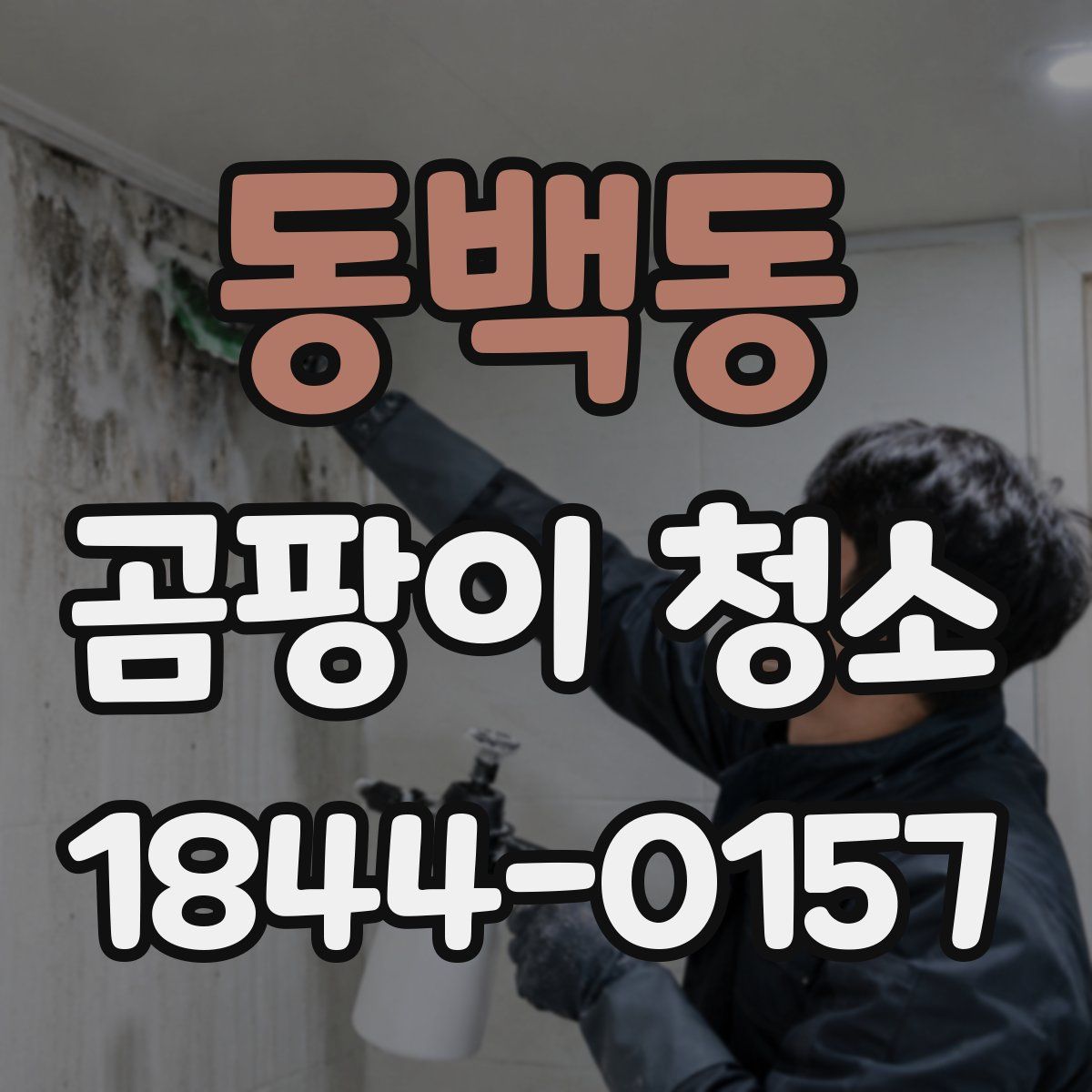 동백동 곰팡이 청소