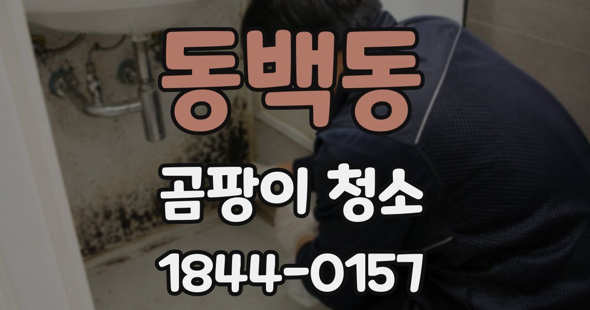 동백동 곰팡이 청소