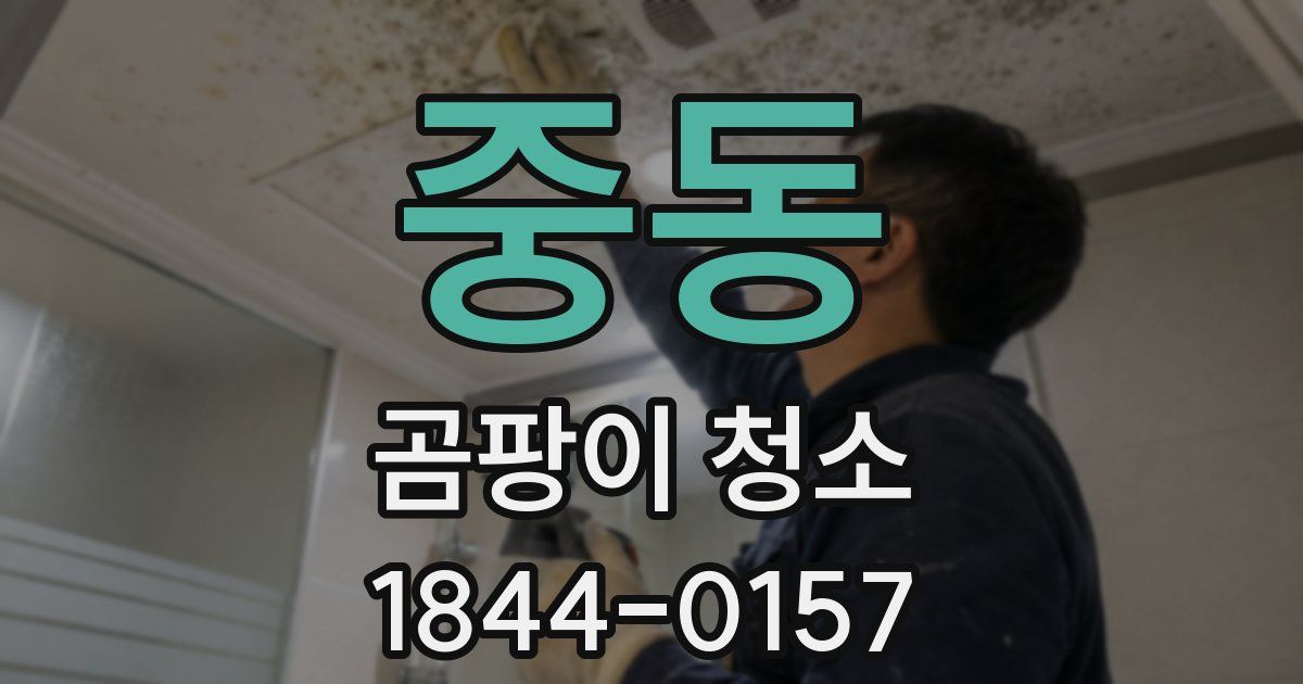 중동 곰팡이 청소