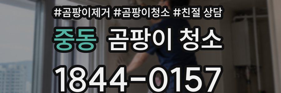 중동 곰팡이 청소