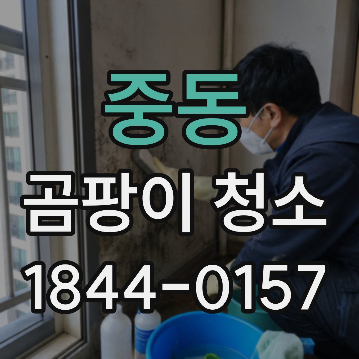 중동 곰팡이 청소