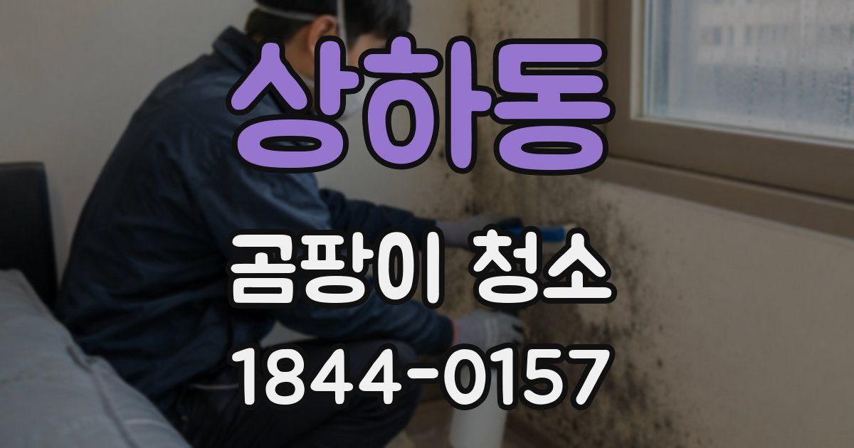 상하동 곰팡이 청소