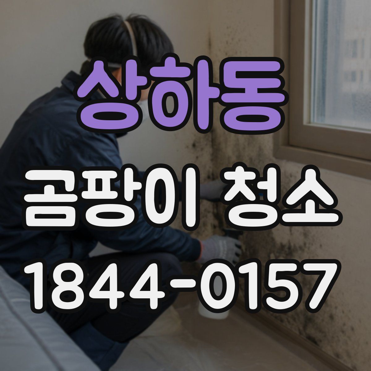상하동 곰팡이 청소