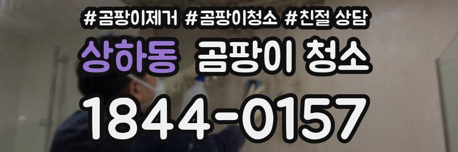 상하동 곰팡이 청소
