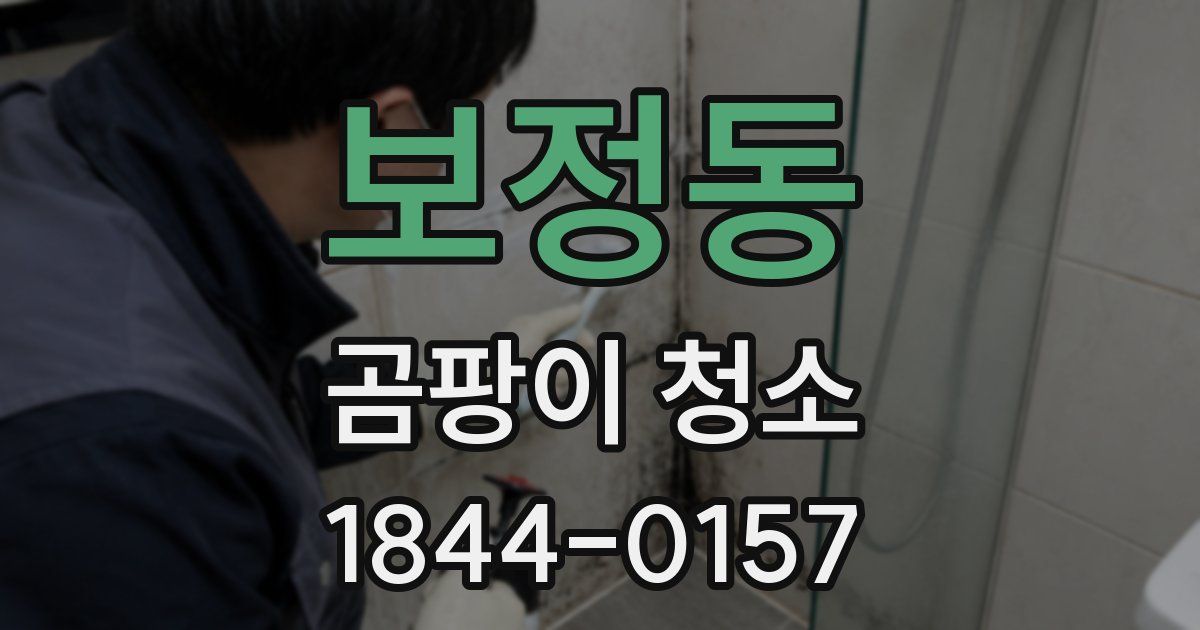 보정동 곰팡이 청소