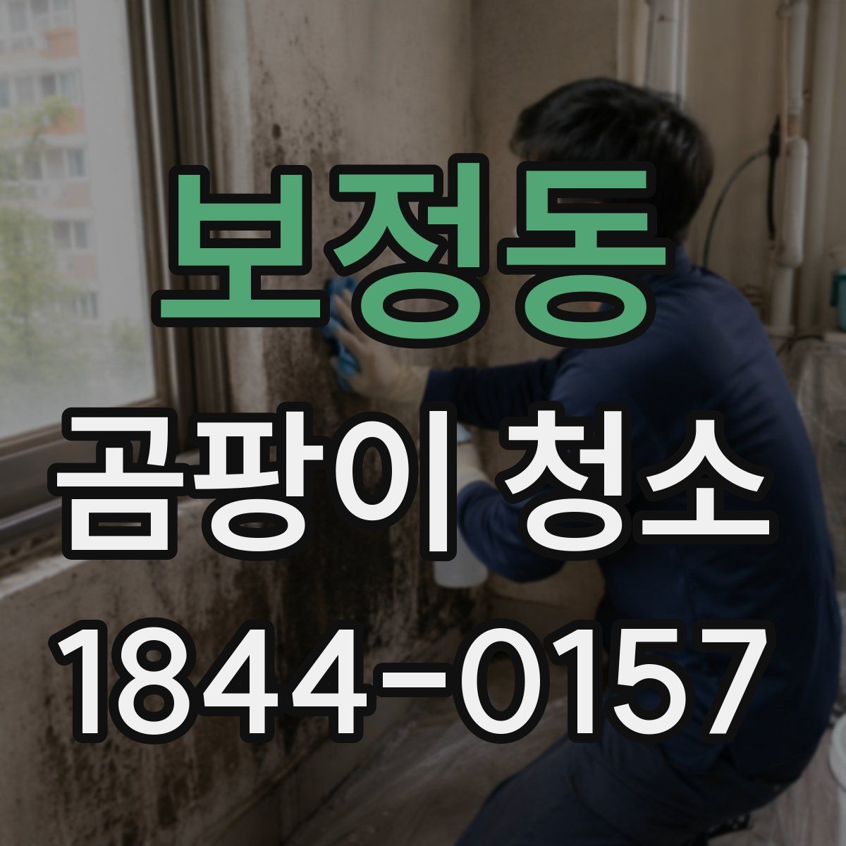 보정동 곰팡이 청소