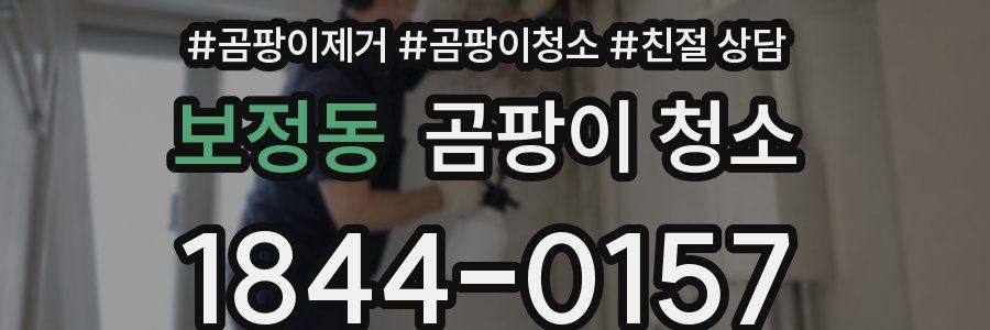 보정동 곰팡이 청소