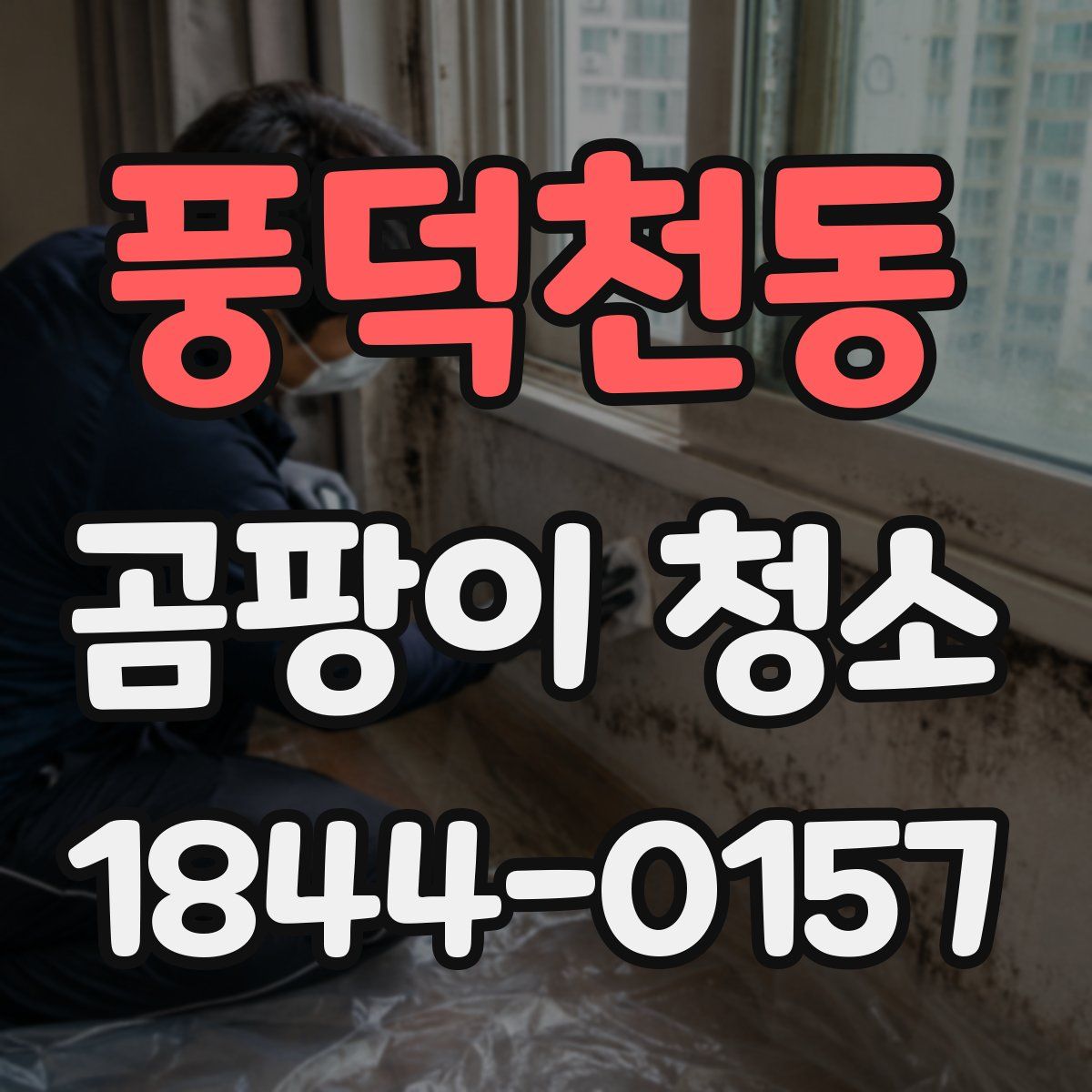 풍덕천동 곰팡이 청소