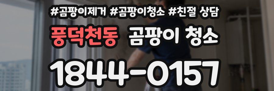 풍덕천동 곰팡이 청소