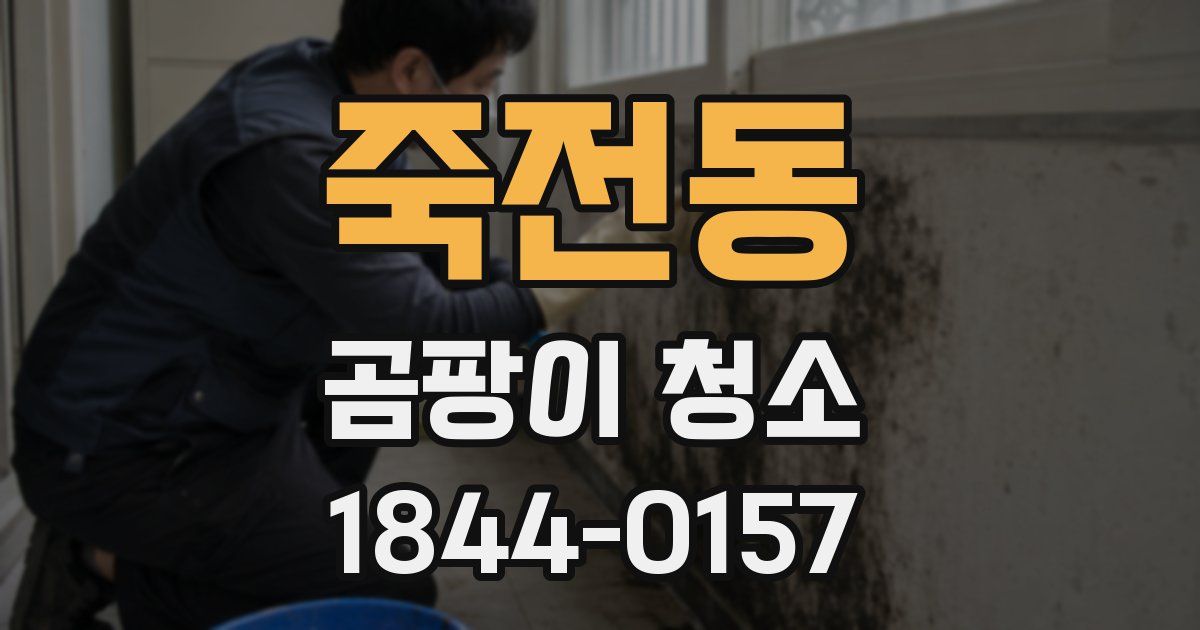 죽전동 곰팡이 청소
