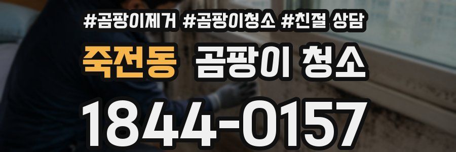 죽전동 곰팡이 청소