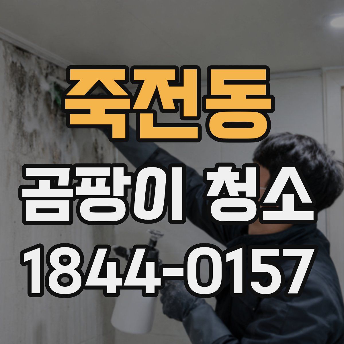 죽전동 곰팡이 청소