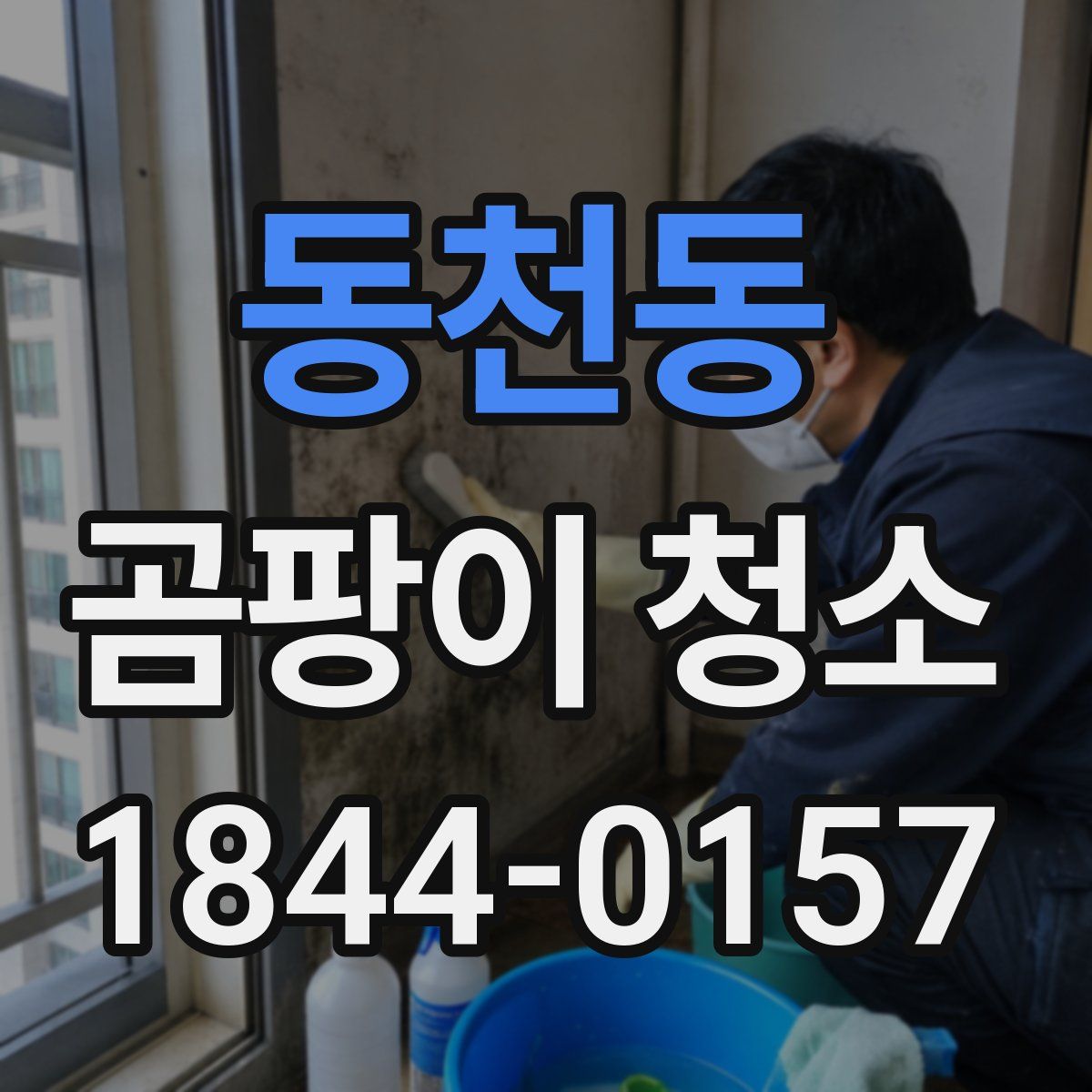 동천동 곰팡이 청소