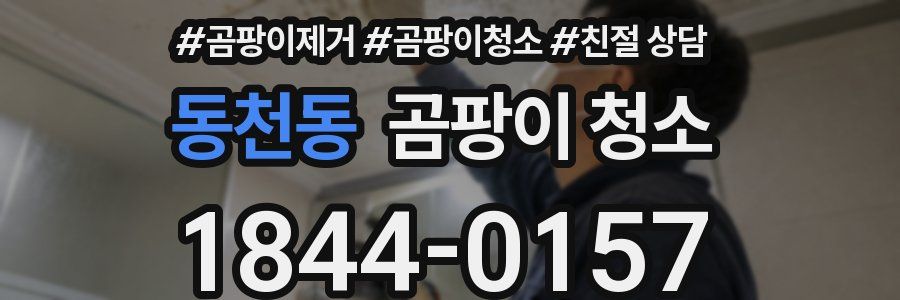 동천동 곰팡이 청소