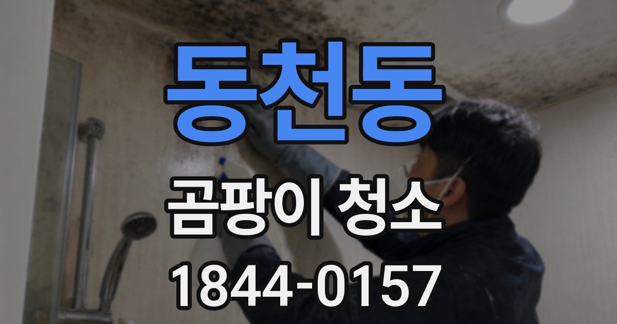 동천동 곰팡이 청소