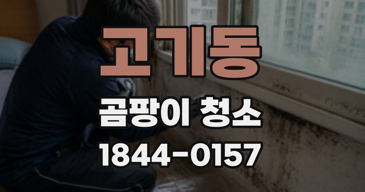 고기동 곰팡이 청소