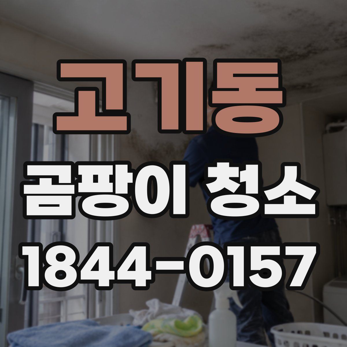 고기동 곰팡이 청소