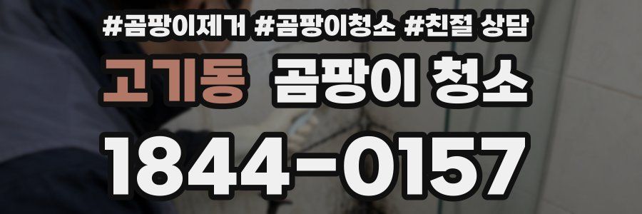 고기동 곰팡이 청소