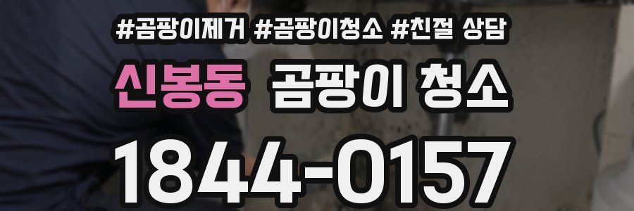신봉동 곰팡이 청소
