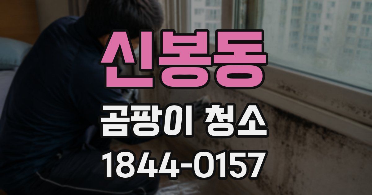 신봉동 곰팡이 청소