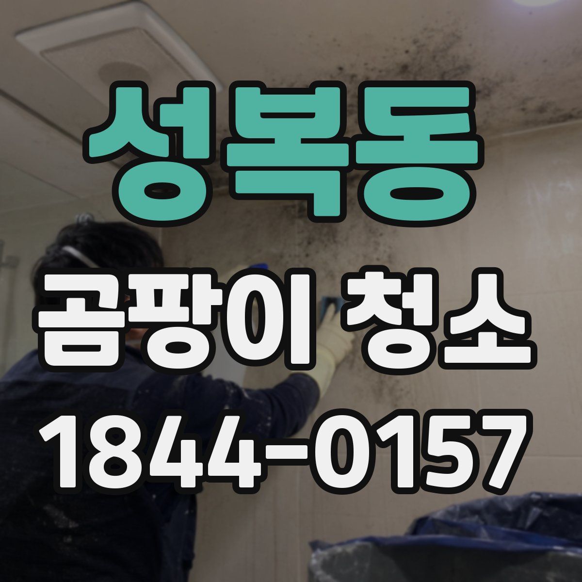 성복동 곰팡이 청소