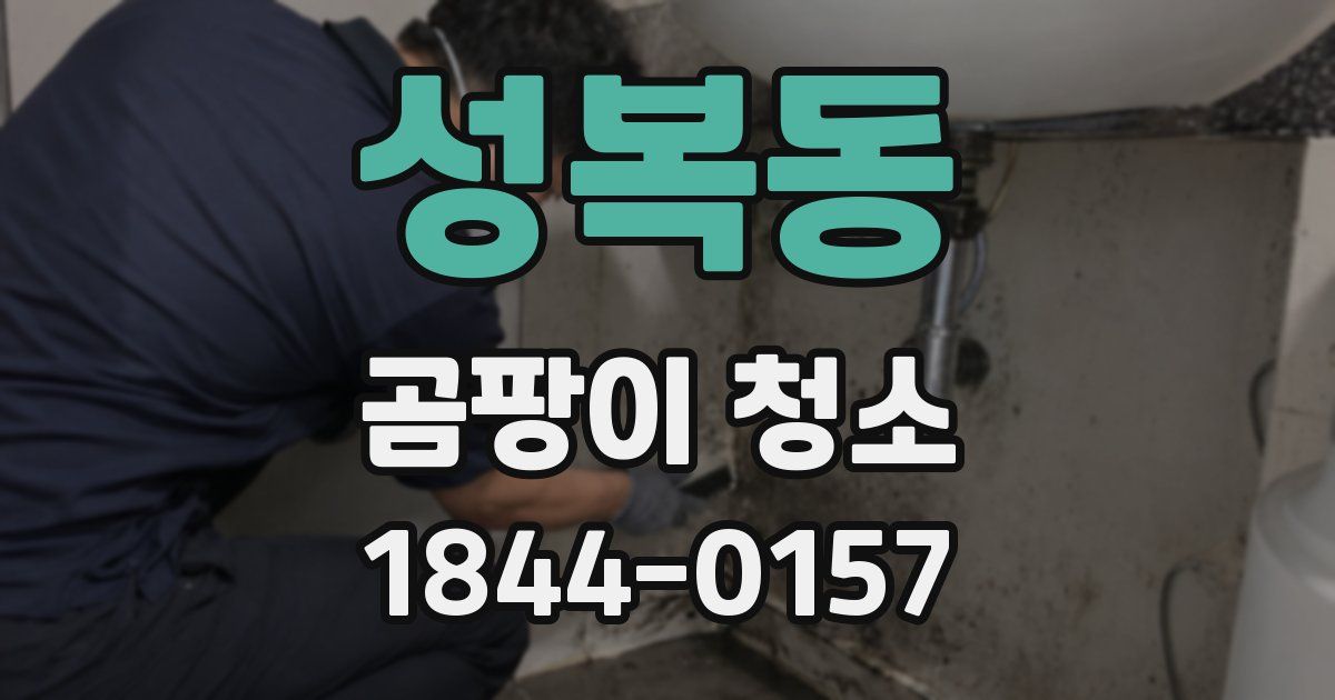 성복동 곰팡이 청소